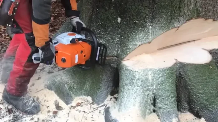 Pilarka łańcuchowa STIHL MS 661