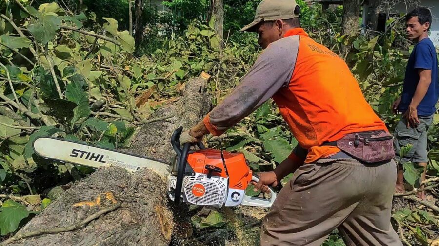 Recenzja STIHL MS 881