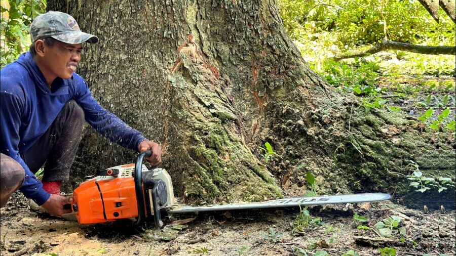 STIHL MS 881